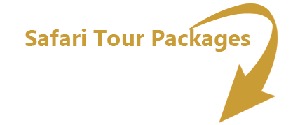 safari tour packages
