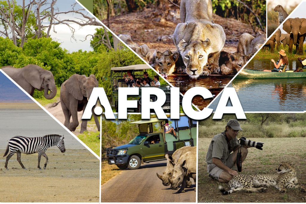 africa tour and travel home page banner