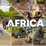 africa tour and travel home page banner