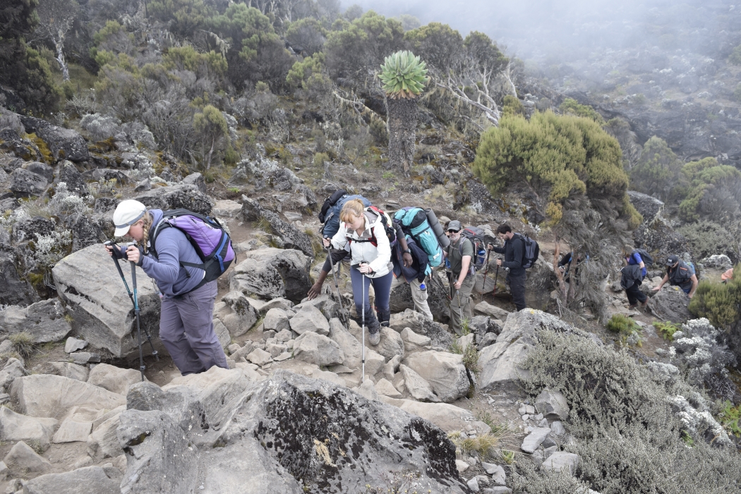 Mount Kilimanjaro Trekking Trip